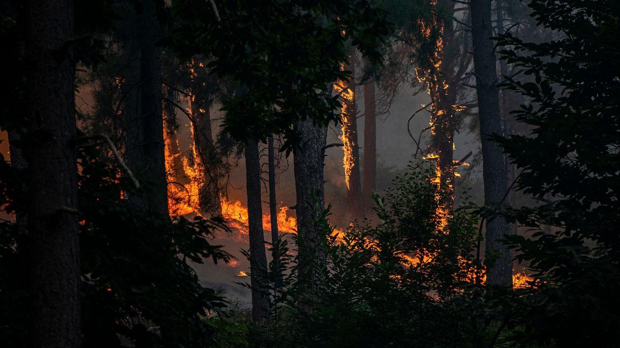 Vista del incendio cerca de la Charca de la Nieta, a 26 de julio de 2026, en Piedralaves, Ávila. EP.