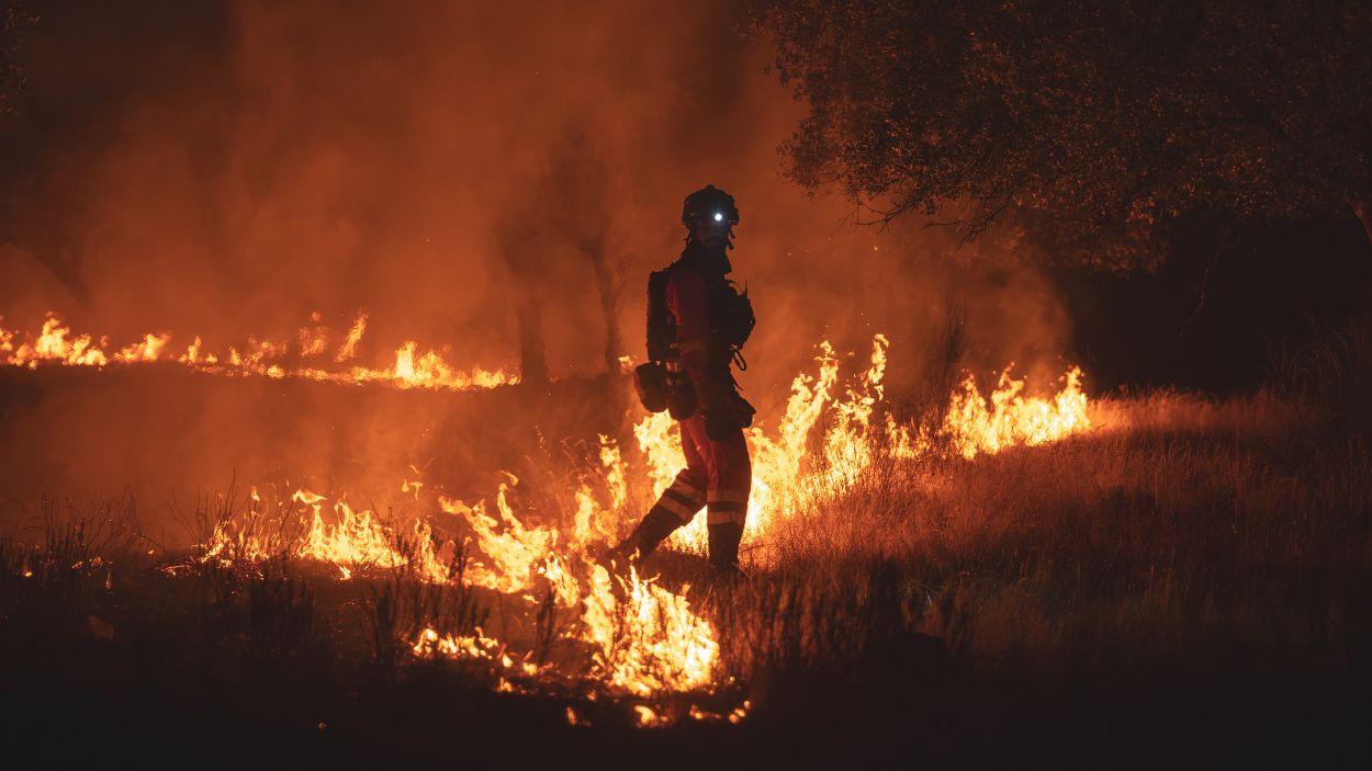 Efectivos de la UME durante la intervención en el incendio forestal en Almorox (Toledo). UME OCP.
