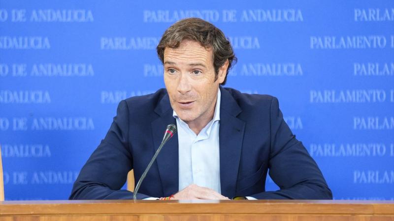 El portavoz del grupo parlamentario Vox, Javier Cortés