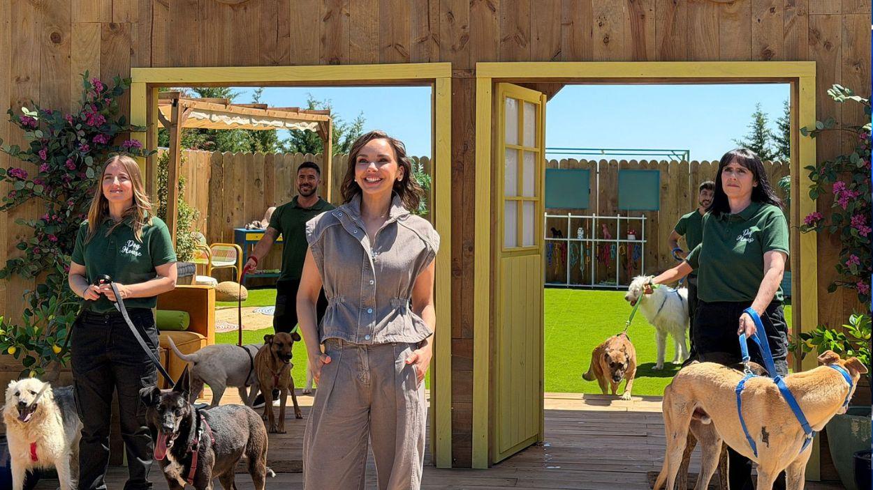'Dog House'. TVE