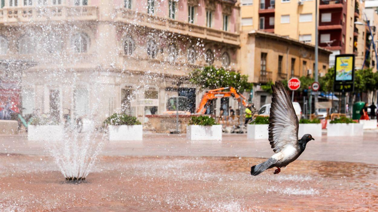 Jornada de intenso calor con máximas de 44ºC en Almería. A 24 de julio de 2026 en Almería. EP.
