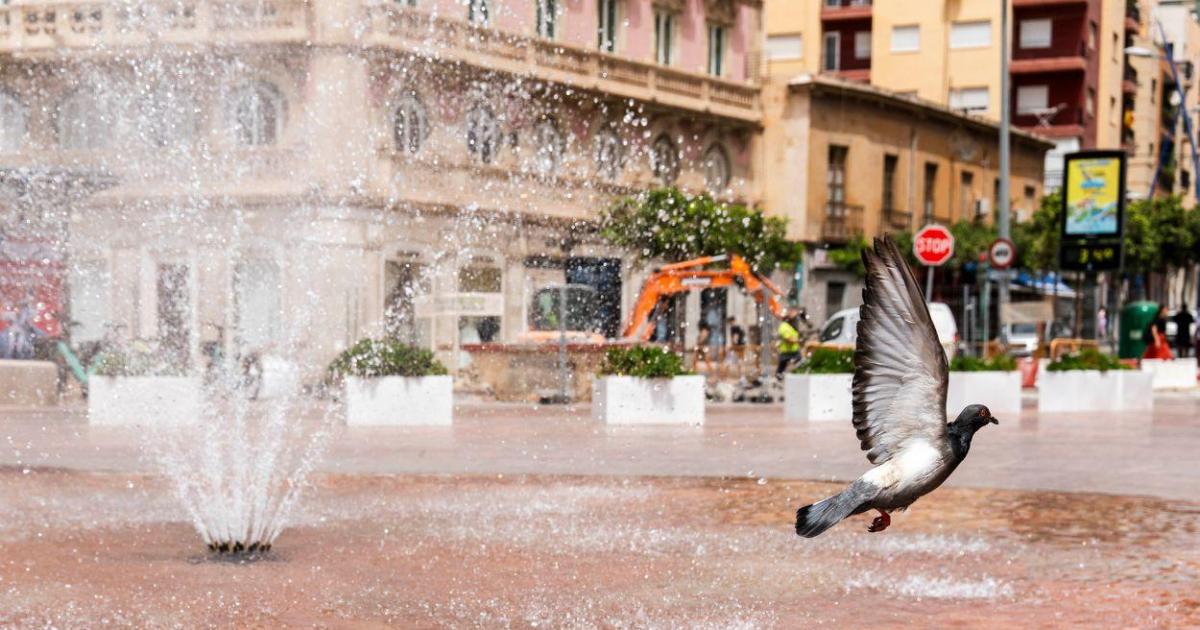 El segundo día de la ola de calor dejará avisos por altas temperaturas en la mayor parte de España