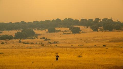 Bombero forestal ante la inmensidad del incendio acontecido en Pinar de Almorox (Toledo). Tamara Rozas