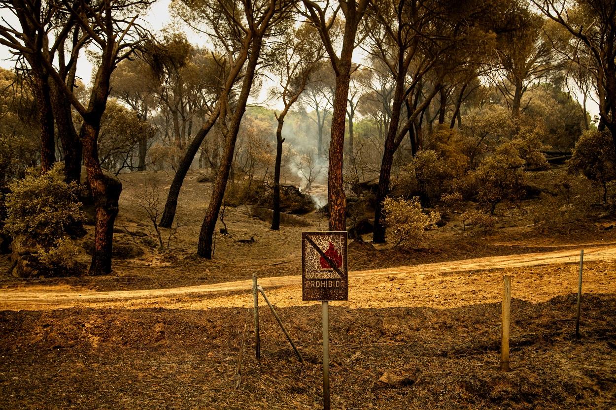 Un cartel de `prohibido hacer fuego´ preside El Pinar de Almorox (Toledo). Tamara Rozas