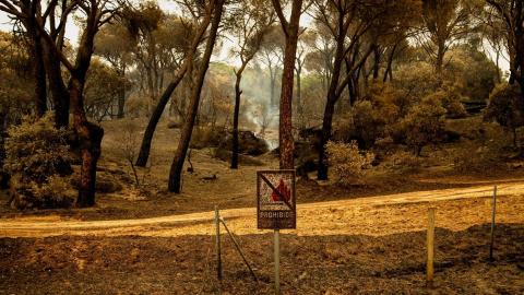 Un cartel de `prohibido hacer fuego´ preside El Pinar de Almorox (Toledo). Tamara Rozas
