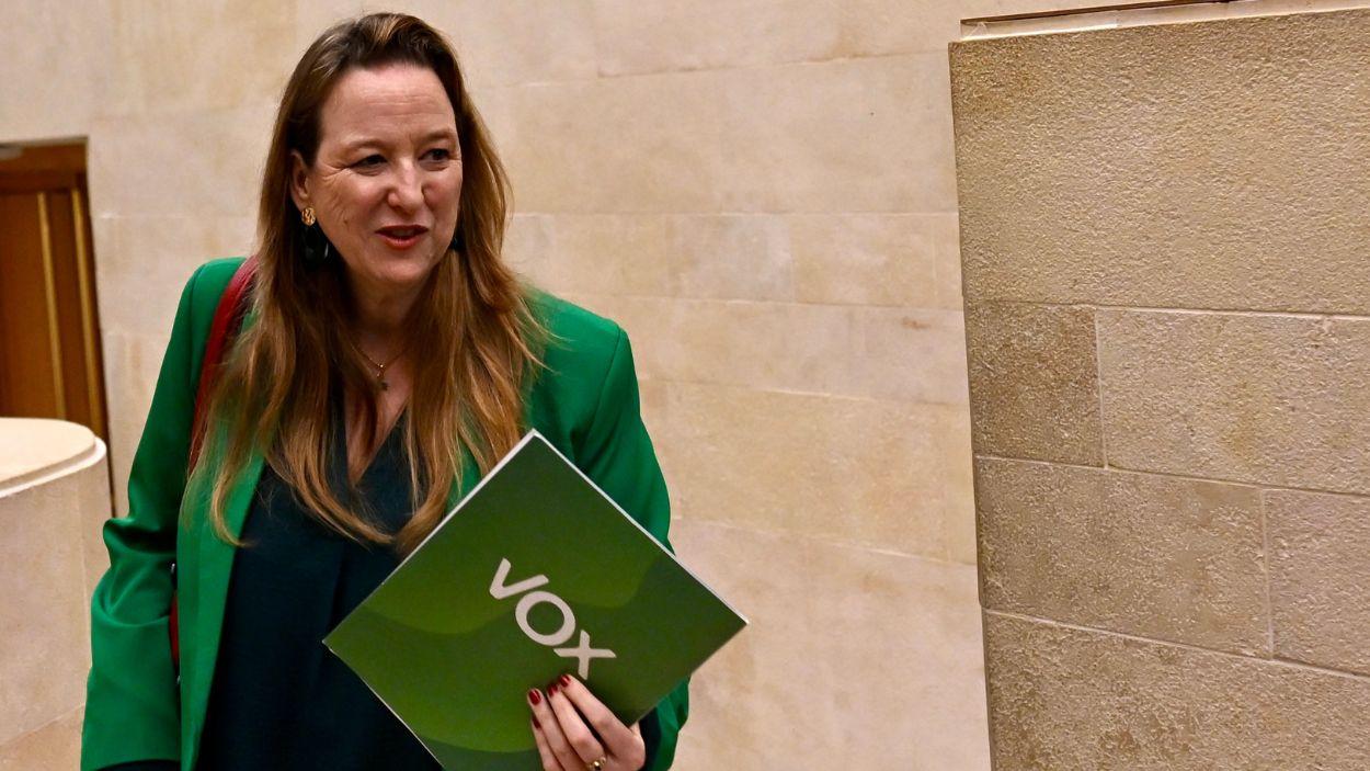 La portavoz de Vox en el Parlamento de Cantabria, Leticia Díaz