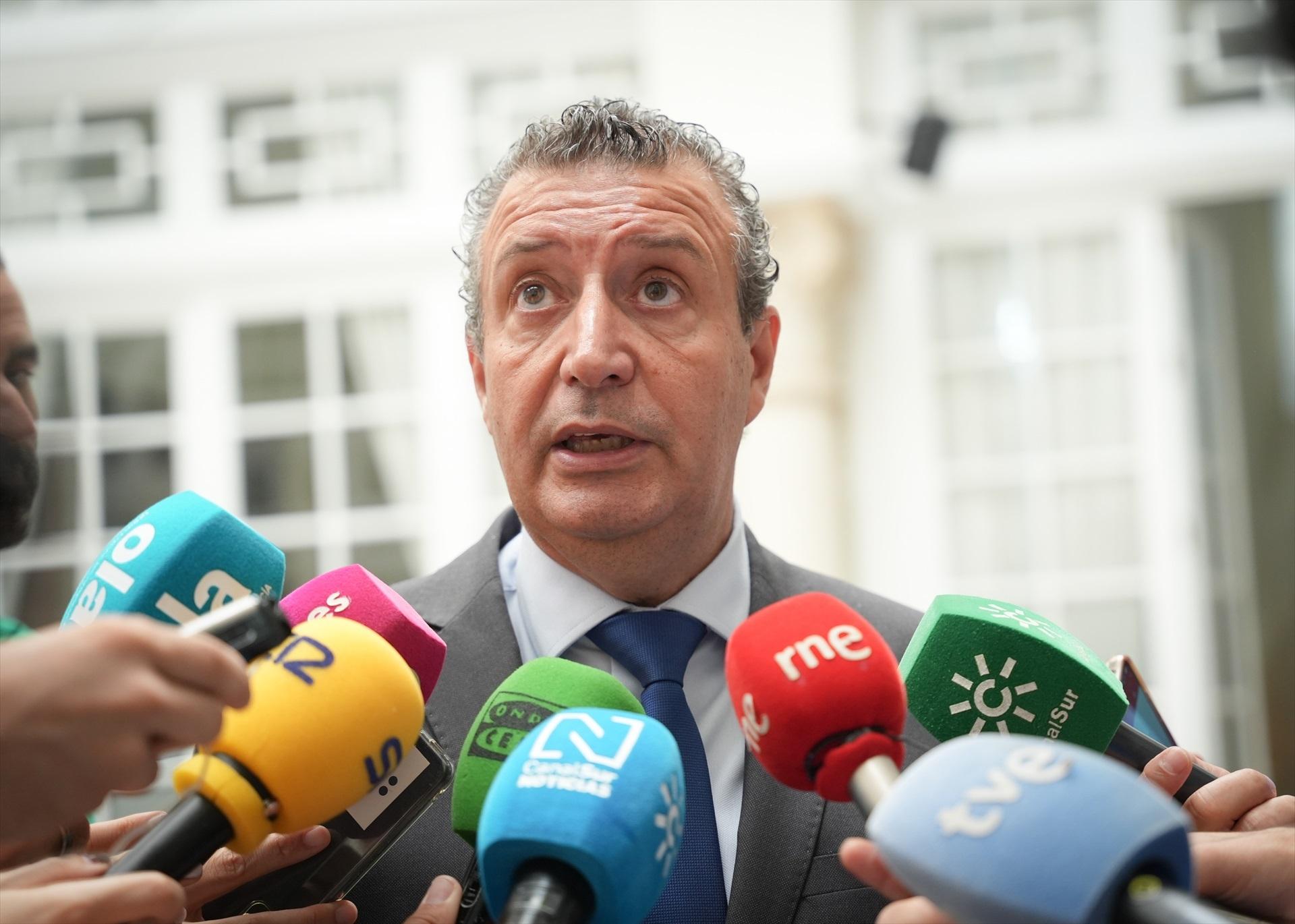 Presidente de la Diputación de Sevilla, Javier Fernández / EP