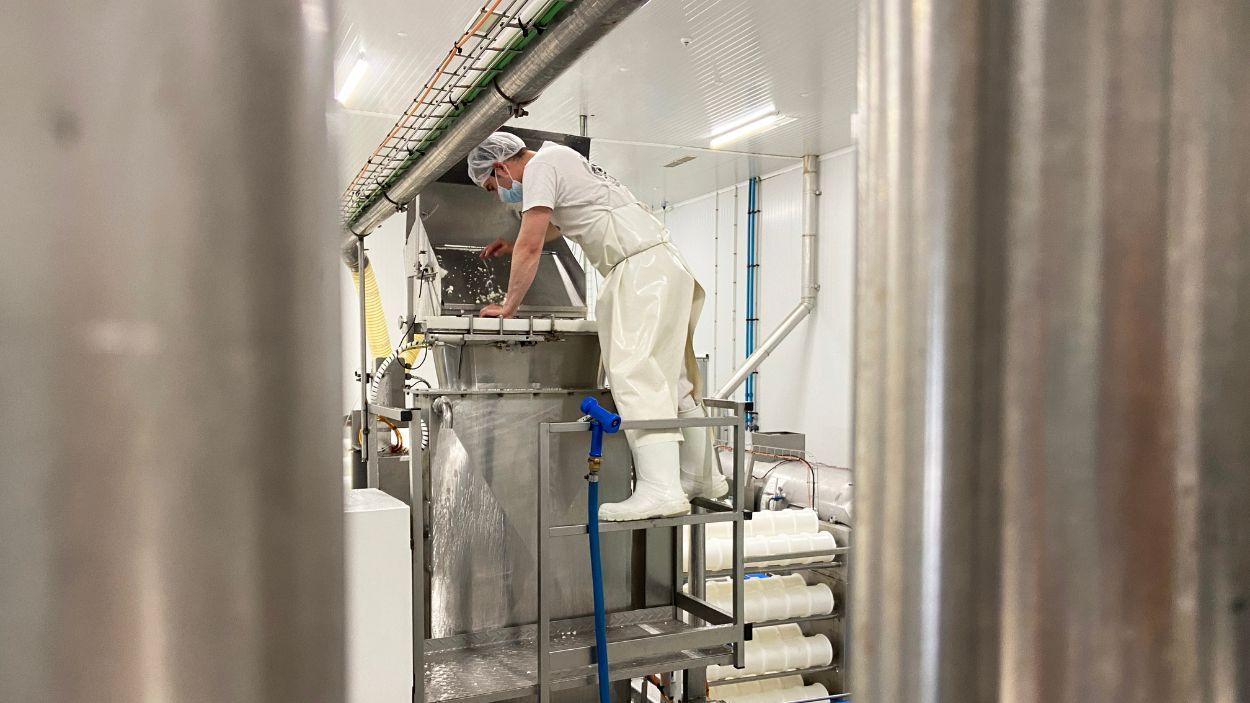 Un trabajador durante el proceso de elaboración de queso en una fábrica de Castilla La Mancha. EP.