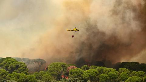 Medios aéreos extinguen el incendio forestal de Villa del Prado (Madrid). Tamara Rozas