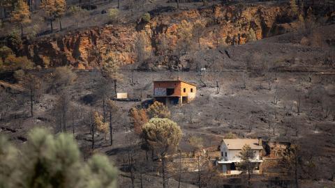 Bosque quemado sobre el embalse El Burguillo (Ávila). Tamara Rozas