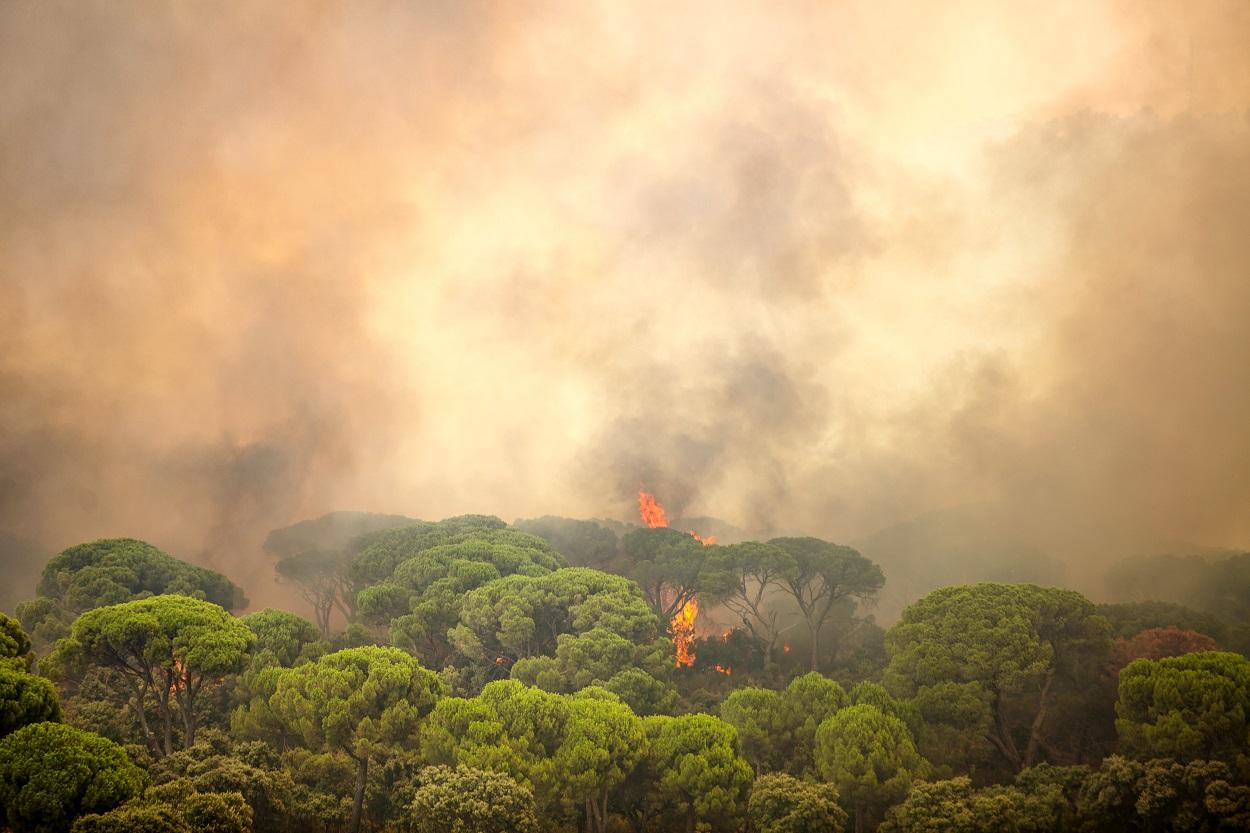 Vista aérea del incendio de Villa del Prado (Madrid). Tamara Rozas