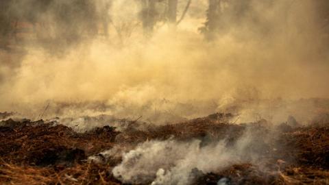 Terreno quemado en el Incendio de Pinar de Almorox (Toledo). Tamara Rozas