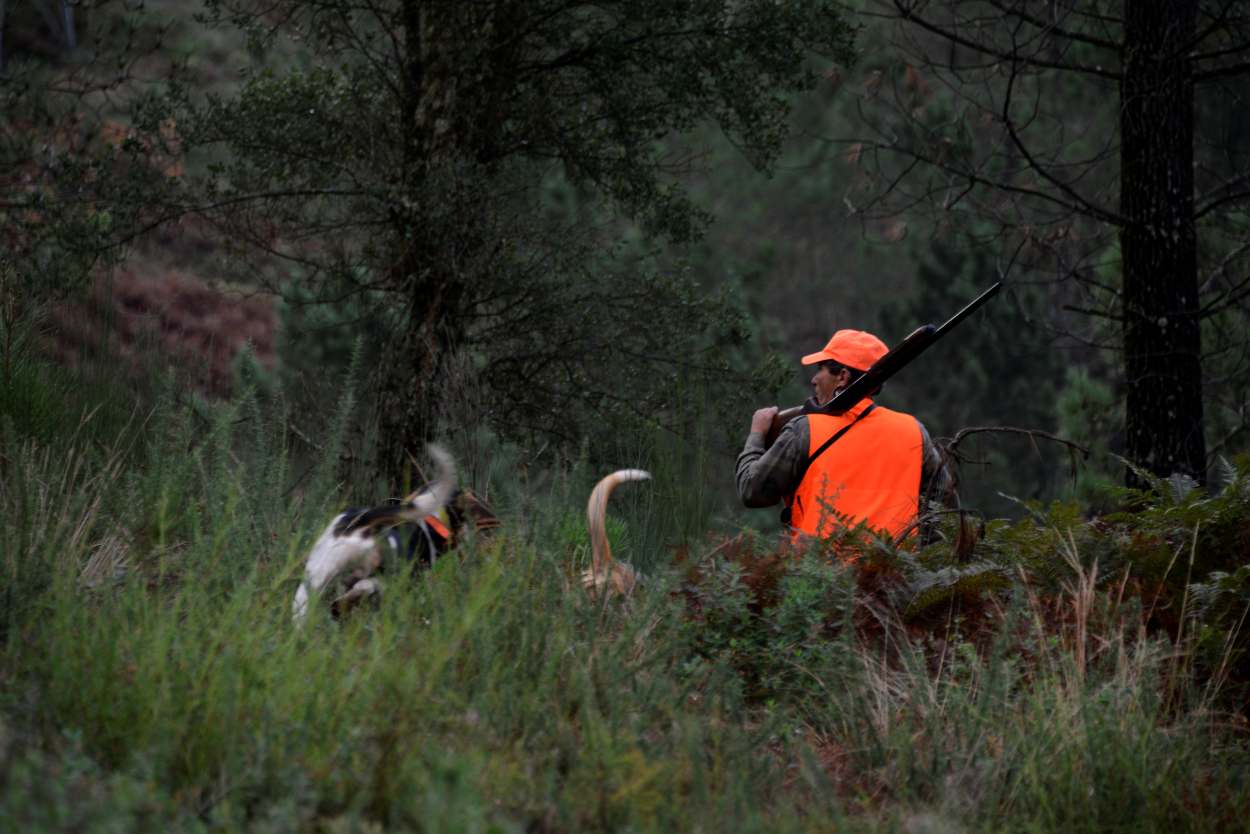 Imagen de un cazador en montes de Ourense durante la apertura de la campaña de Emergencia Cinegética contra el jabalí en 2024 (Foto: Europa Press).