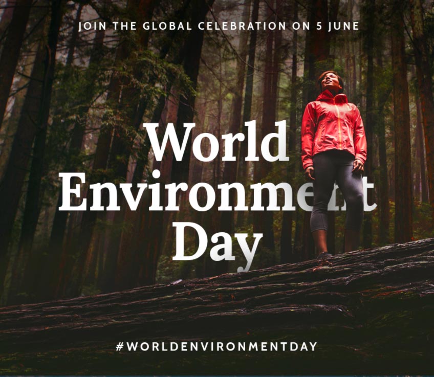 Conecta con la Naturaleza - Día Mundial del Medio Ambiente 5 de junio 2017 Conecta con la Naturaleza - Día Mundial del Medio Ambiente 5 de junio 2017