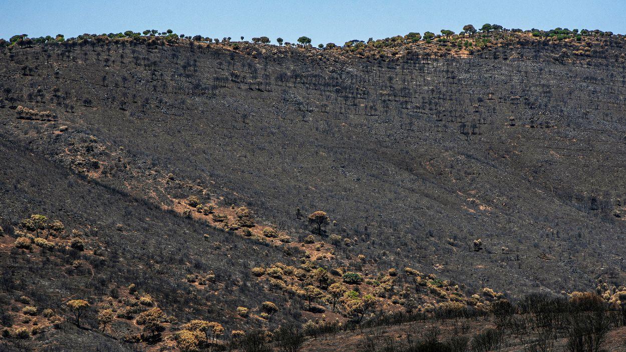 Imagen del incendio de la Sierra Oeste de Madrid, en Navas del Rey. EP.