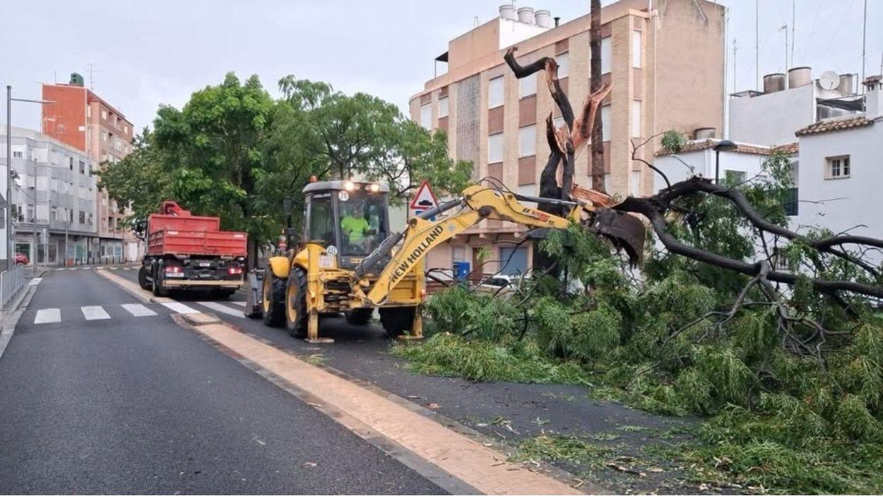 Retirada de árbol caído en Sueca. EP.