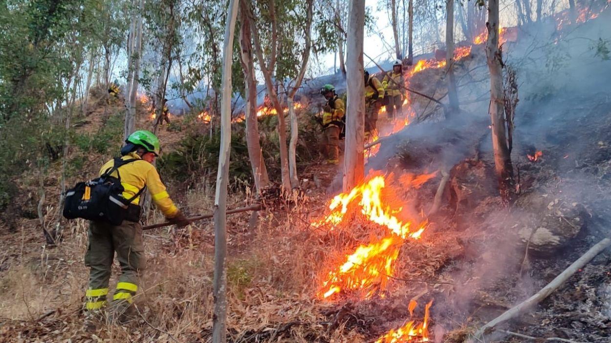 Miembros del Infoca trabajan en la extinción del incendio forestal de Niebla / EP