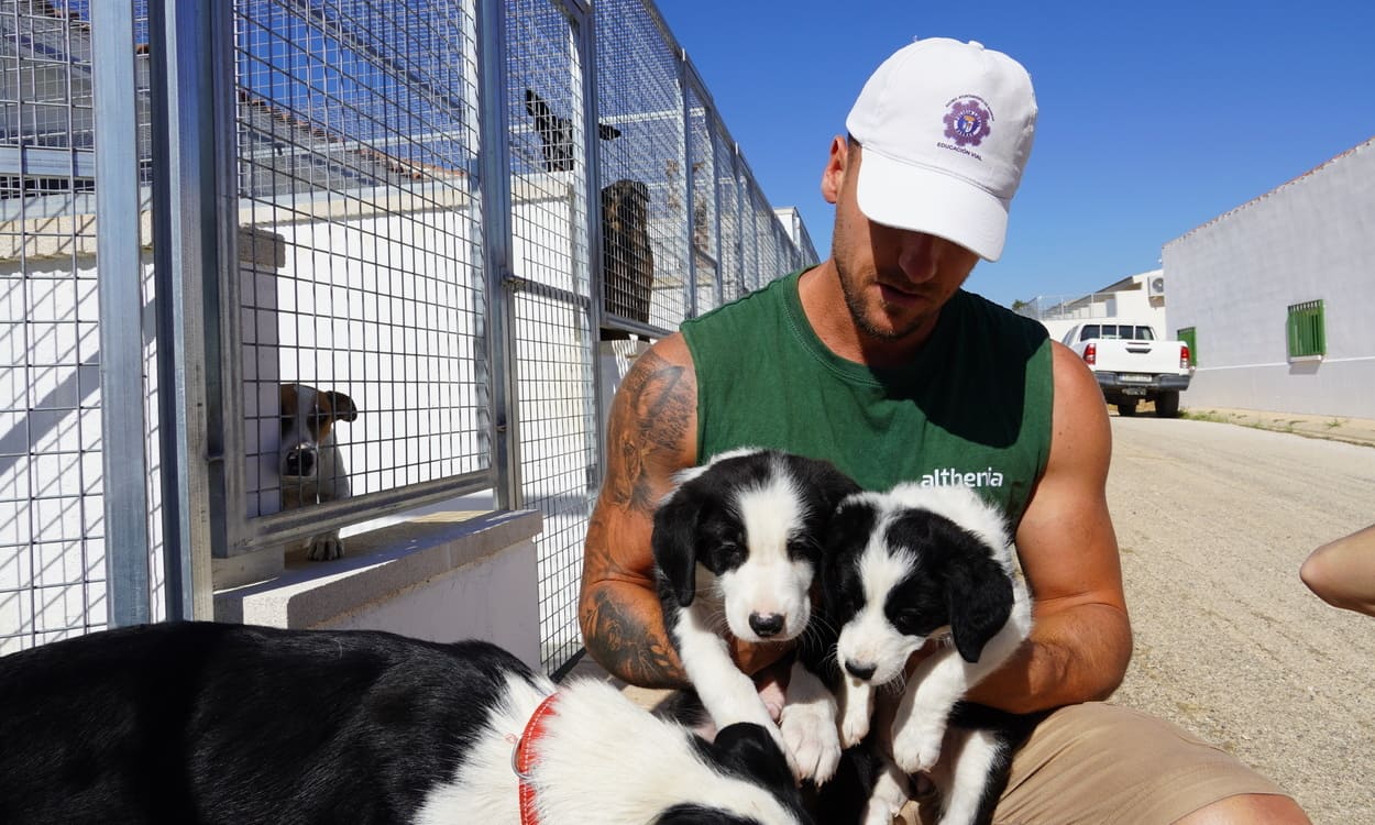 Cristian Collados, cuidador de perros de Emperrados, sostiene a dos de los cachorros acogidos en el centro