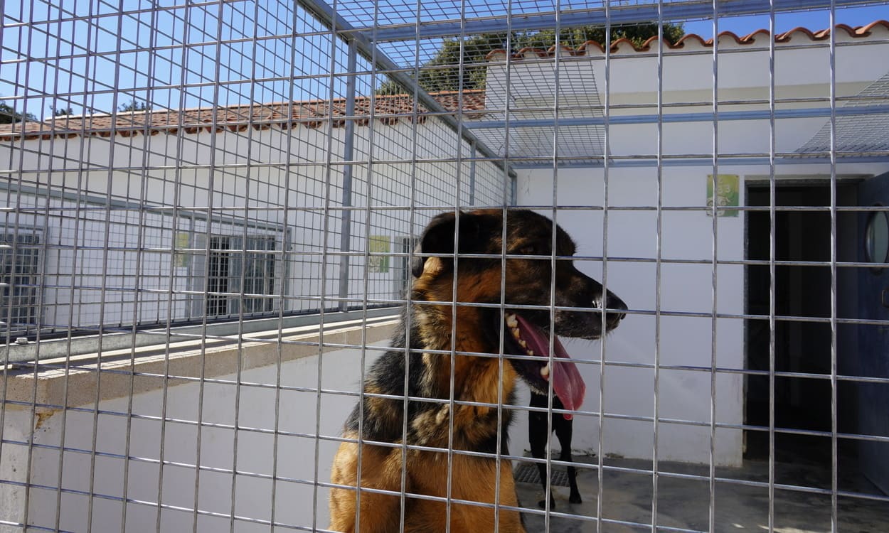 Tery, durante su estancia en las instalaciones de Emperrados