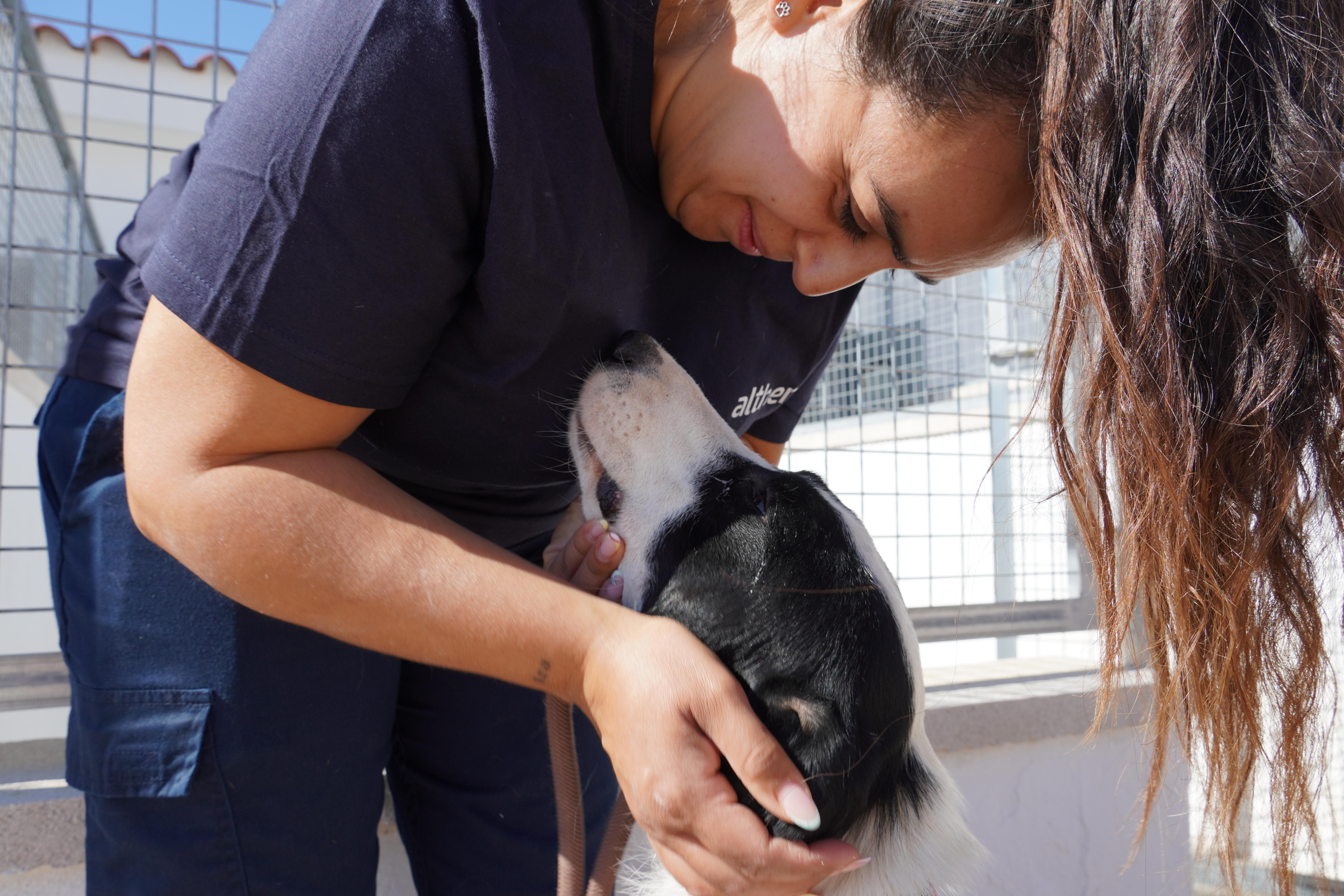 África Moreno López, veterinaria de Emperrados, junto a uno de los perros del centro