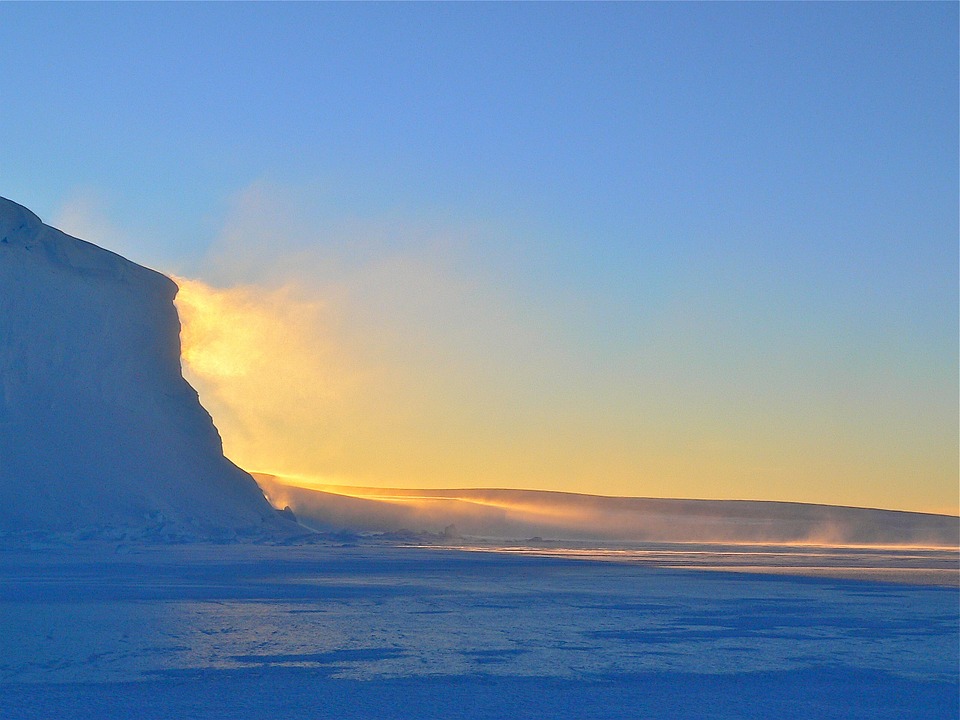 La Península Antártica será verde en el futuro