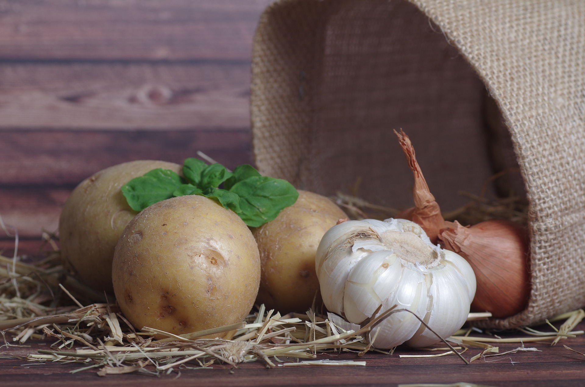 Recetas gallegas para soprender: bombones de patatas fritas y licor de ortigas