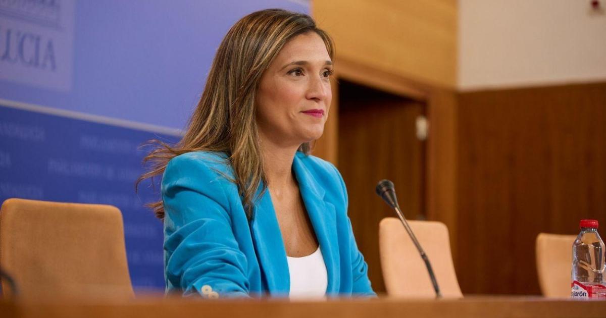 El PSOE-A registra 109 iniciativas en las primeras comisiones parlamentarias y acusa al PP de «esconder el debate»