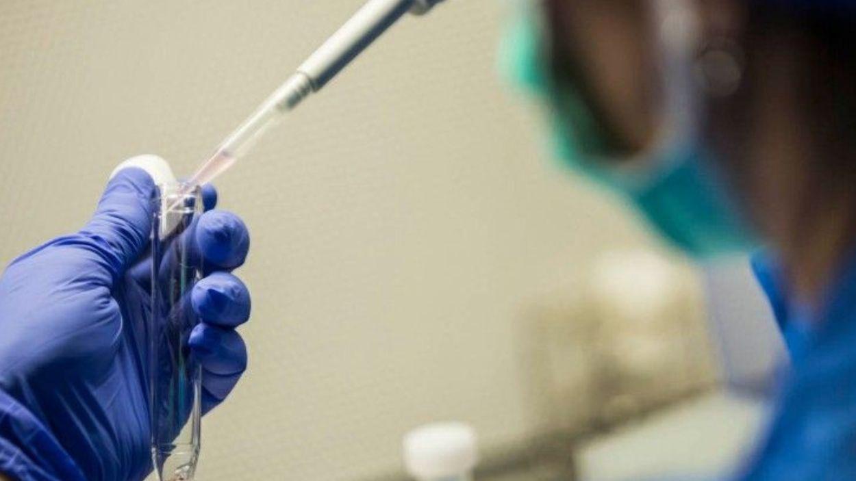Un investigador deposita muestras en un tubo de ensayo  Foto de IVI RMA Global