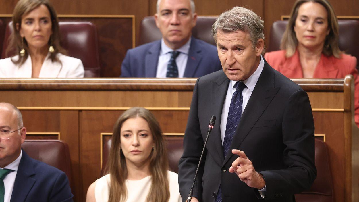 El líder del PP, Alberto Núñez Feijóo, en el Congreso de los Diputados. EP