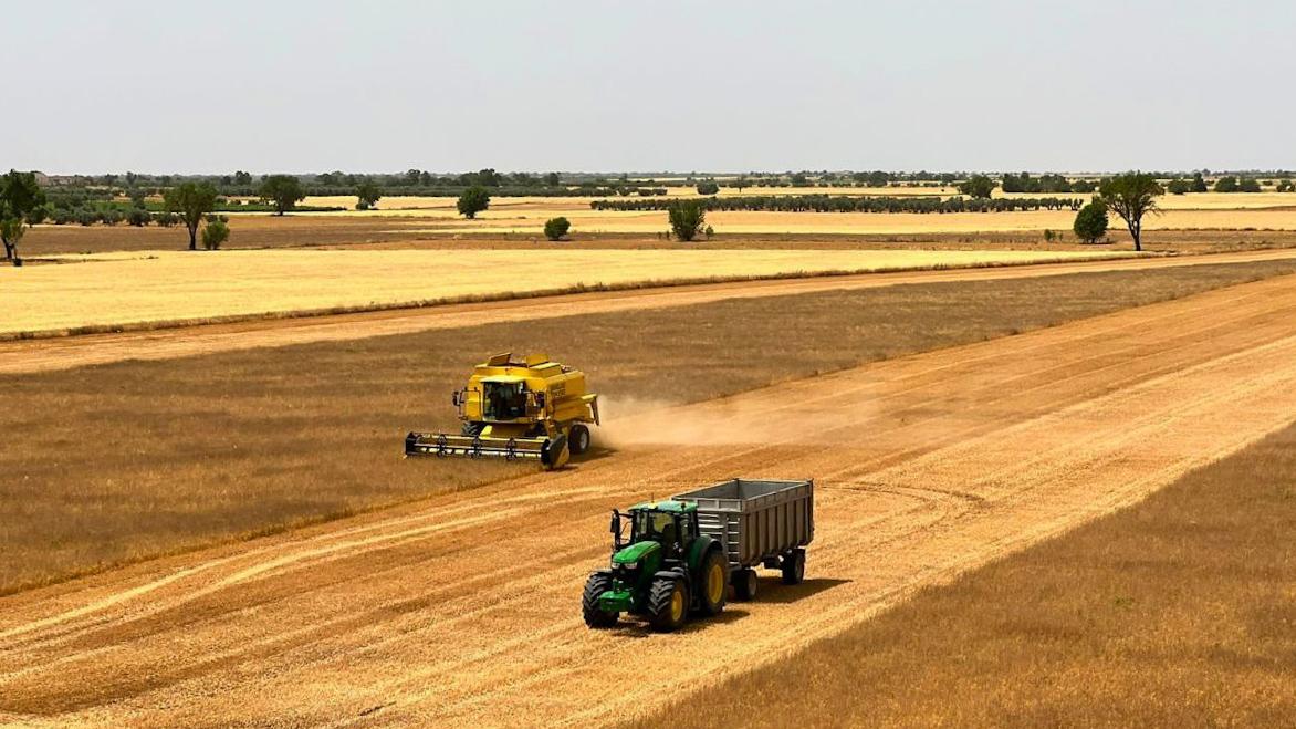 “Quien diga que no se puede cosechar en Castilla-La Mancha miente”