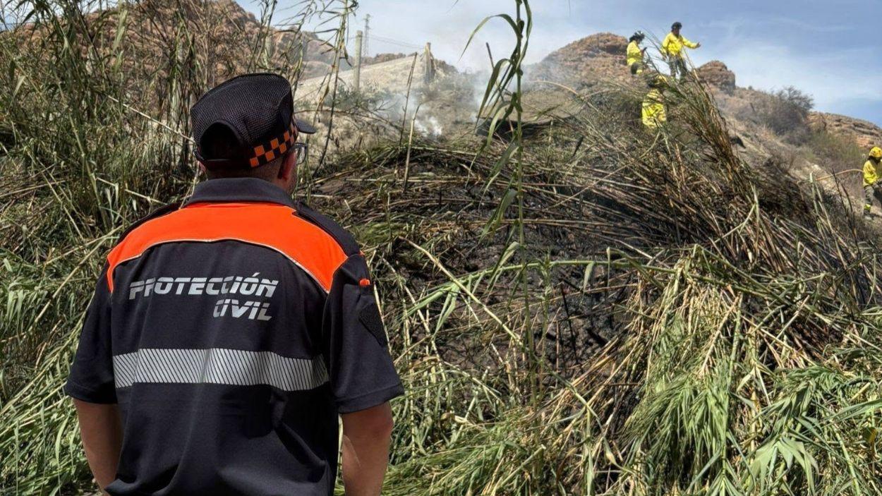 Un agente de Protección Civil de Alhabia (Almería) durante una intervención del Infoca en una imagen de archivo / EP