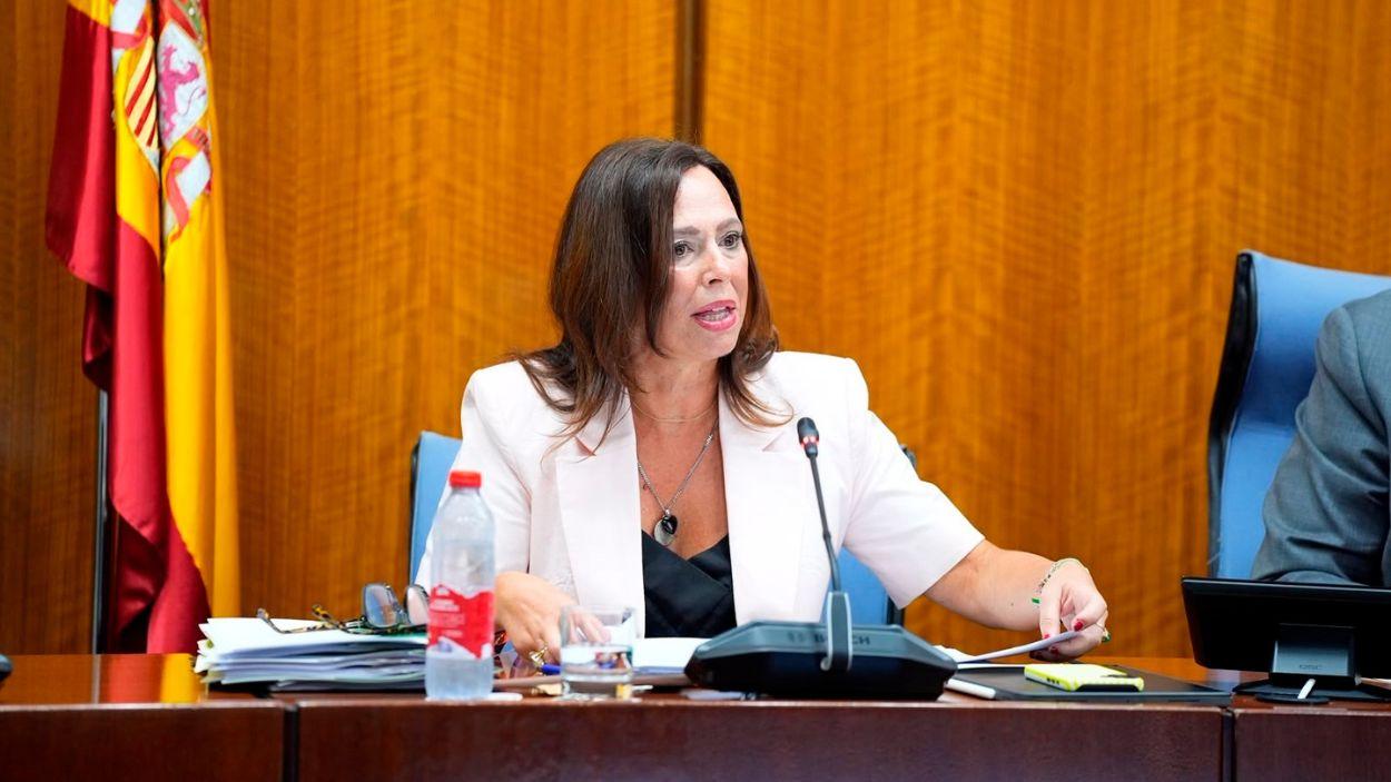 La consejera de Vivienda, Juventud y Ordenación del Territorio, Rocío Díaz, en comisión parlamentaria / EP