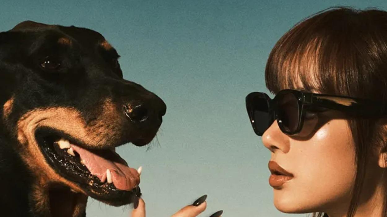 Meta y Lisa 