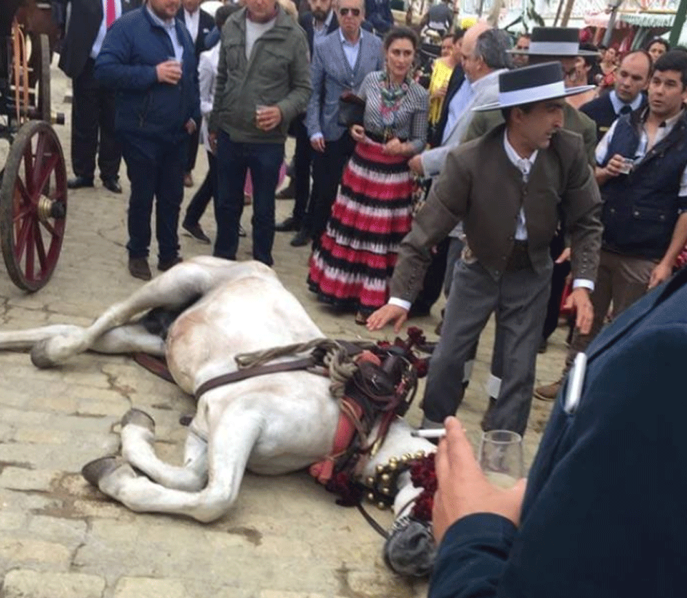 Muere un caballo en la Feria de Abril de Sevilla