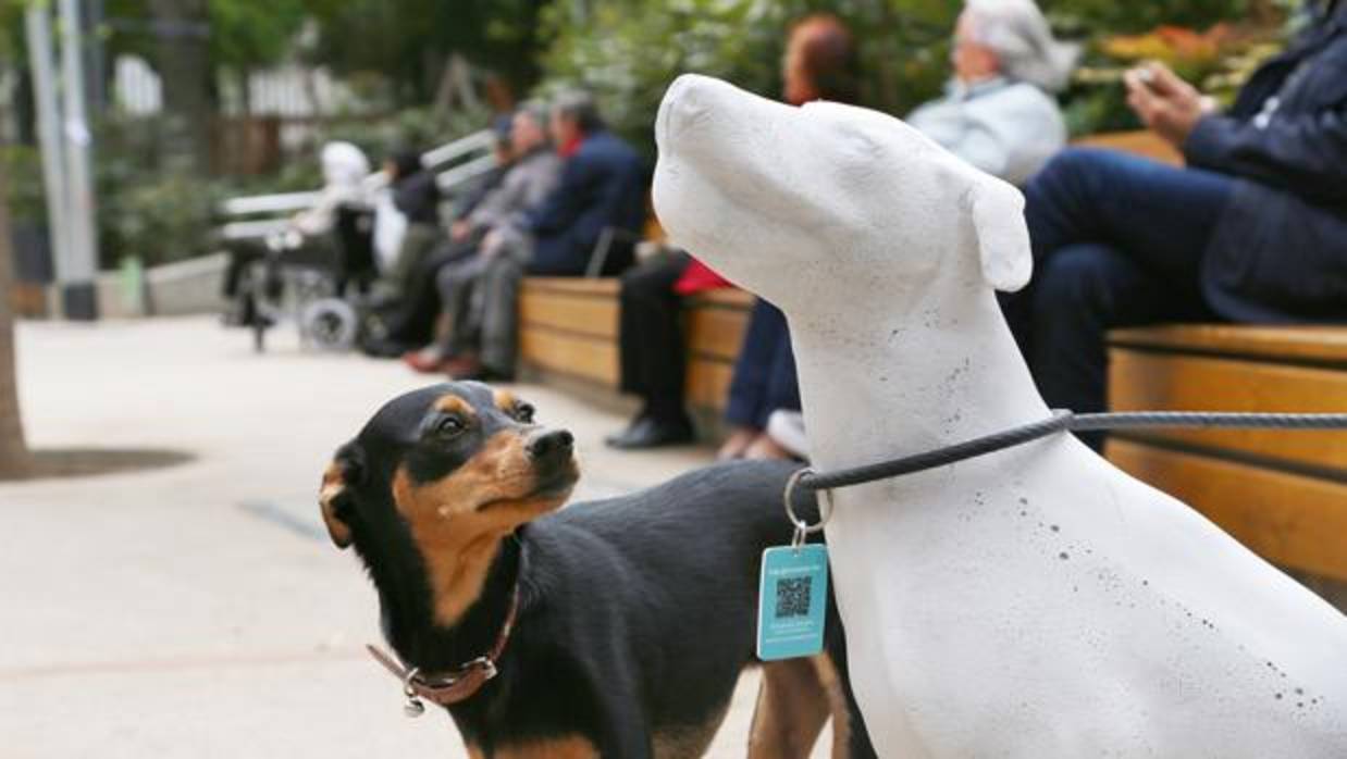 Barcelona se llena de perros de hormigón para concienciar contra el abandono