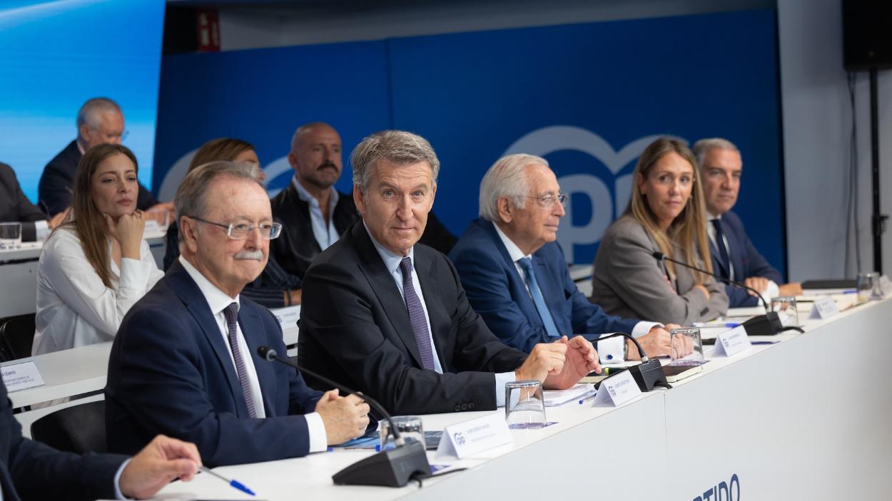 El presidente del Partido Popular, Alberto Núñez Feijóo, durante la Junta Directiva Nacional del PP. EP.