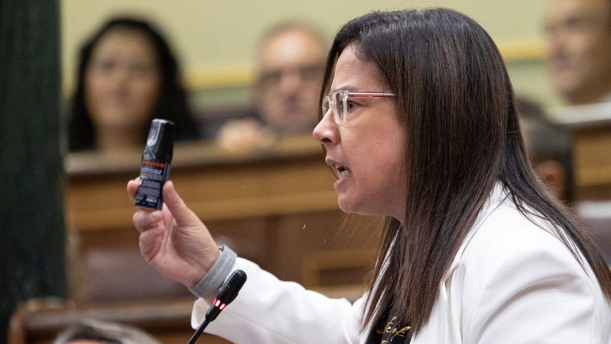 La diputada del PP Ana Vázquez. EP.