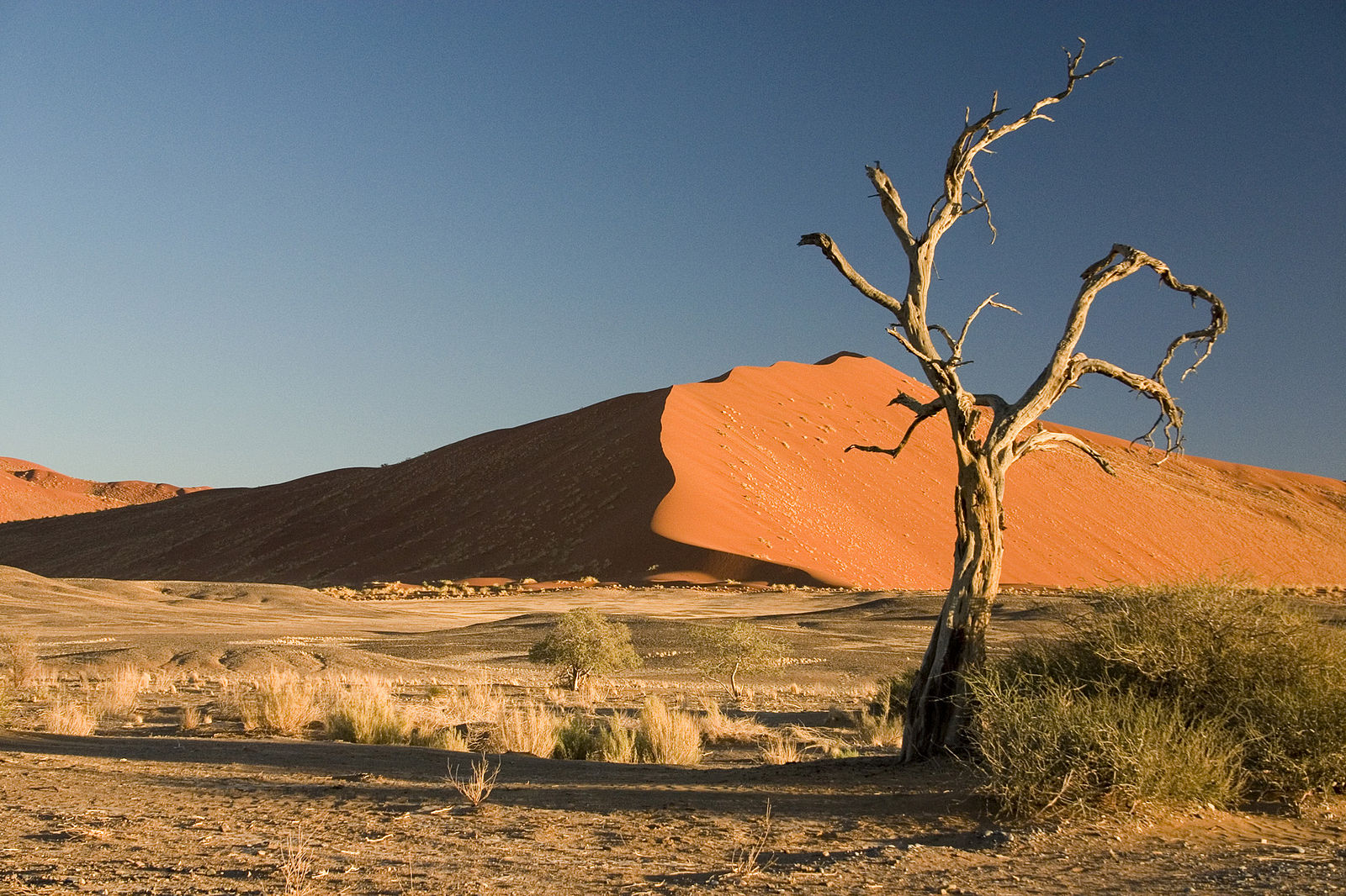 Desierto. Foto: Luca Galuzzi