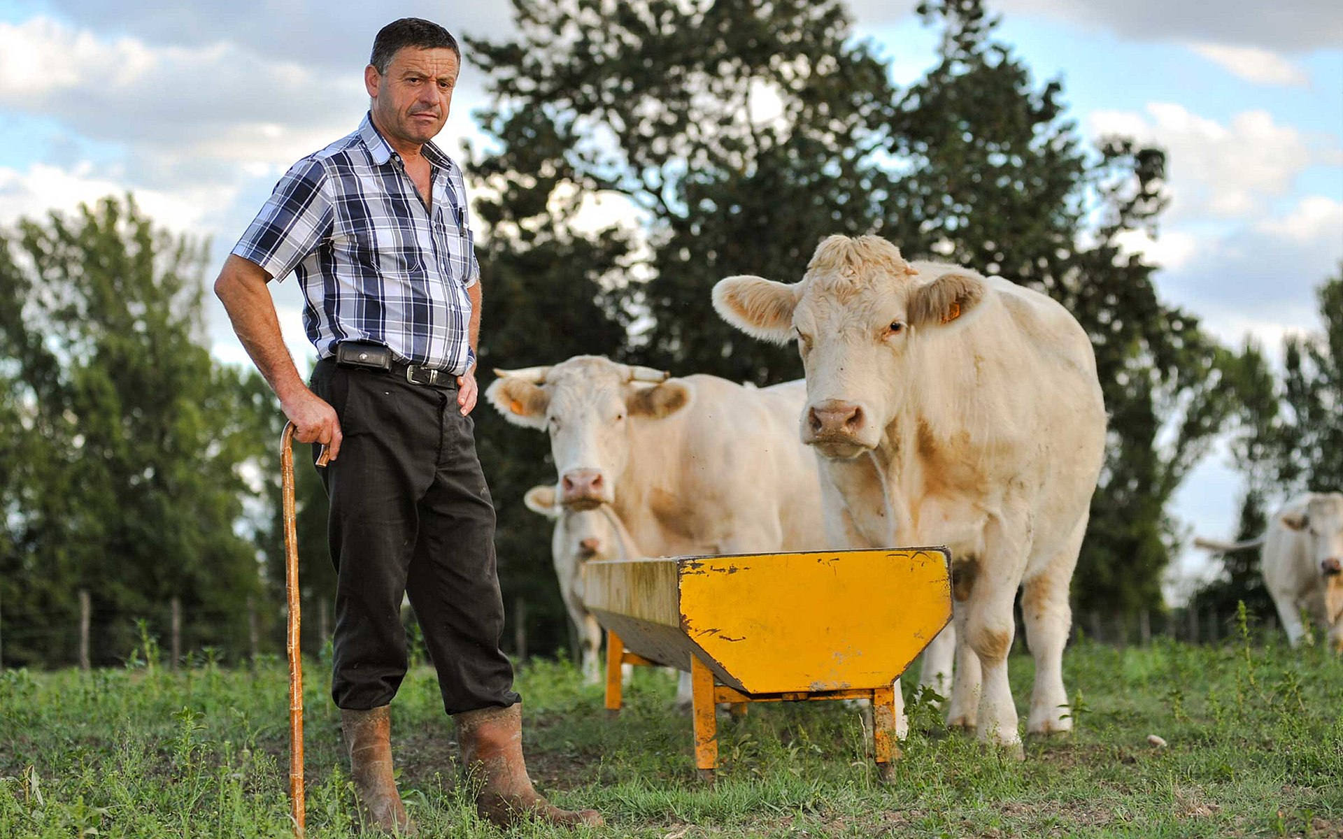 Un ganadero juntos a sus reses. Foto: Agence Producteurs Locaux Damien Kuhn