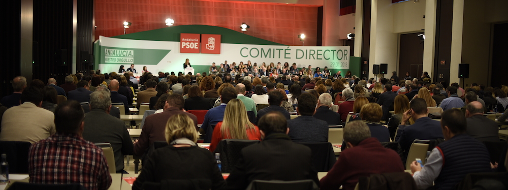 Reunión del Comité Director del PSOE de Andalucía.