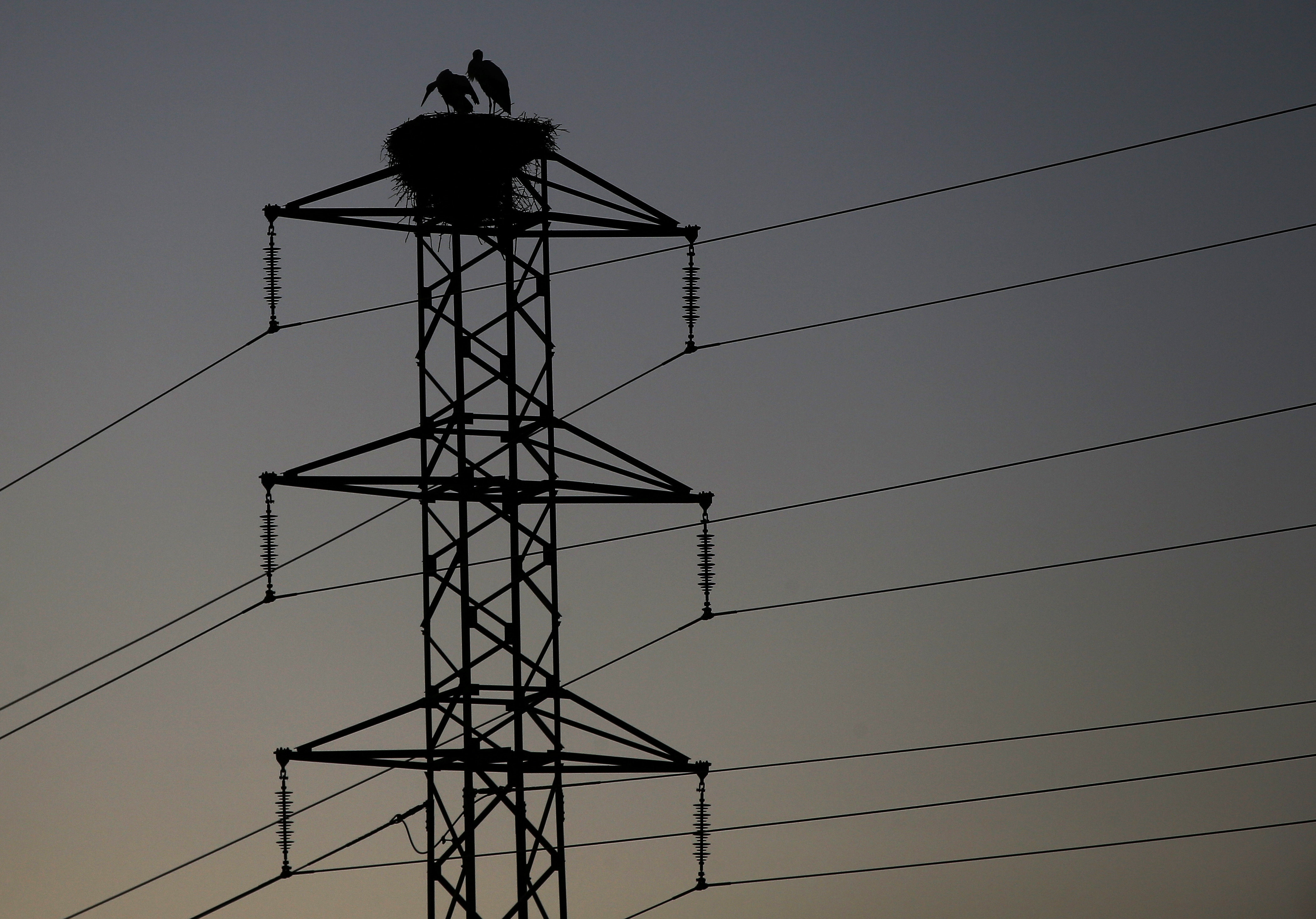 La OCU advierte de que la factura de la luz de mayo será 4 euros más cara que en abril