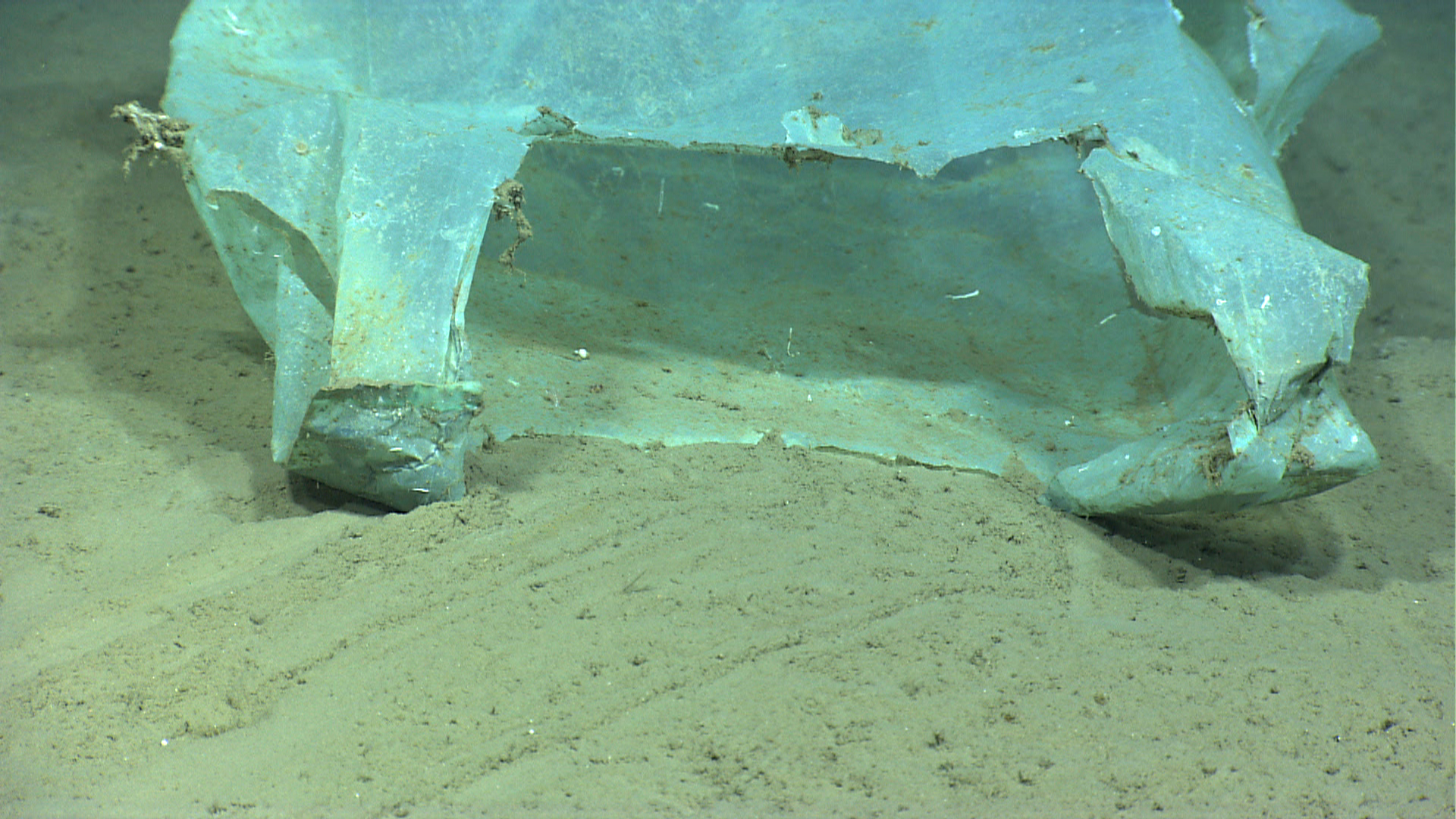 Bolsa de plástico en el fondo de mar. Foto: NOAA Photo Library