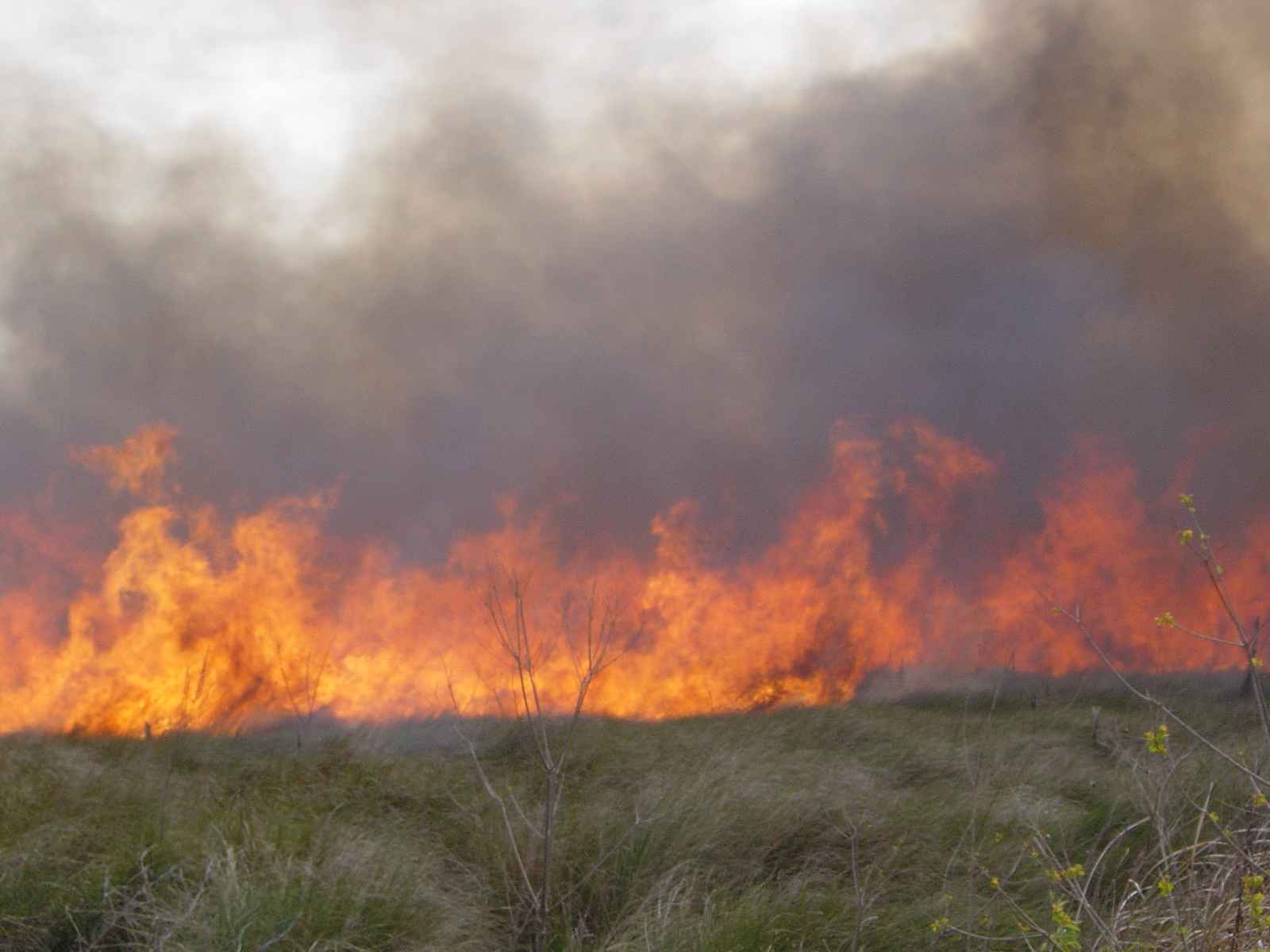 Incendio forestal en EEUU. Foto: U. S. Fish and Wildlife Service