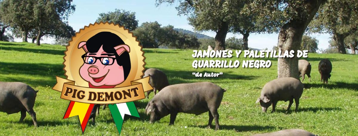 Logo de la empresa Pig Demont