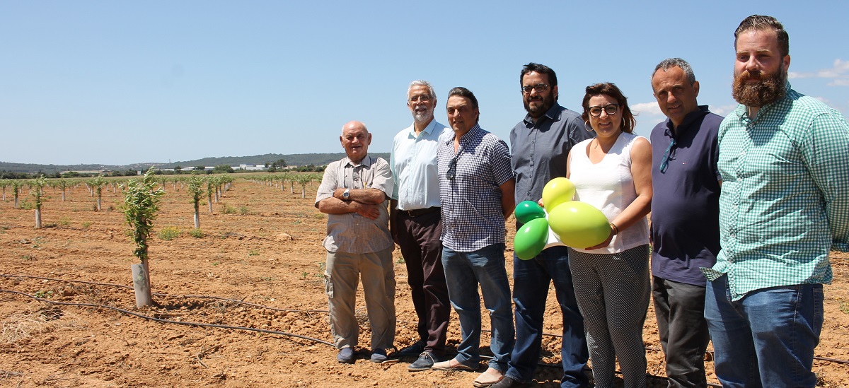 Agricultura subvenciona con un millón de euros la replantación de árboles gracias al impuesto turístico