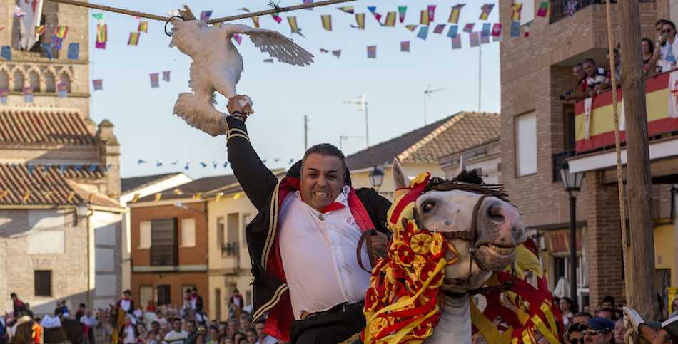 Carrera de gansos en El Carpio de Tajo, Toledo. 