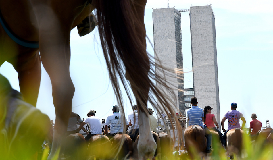 Un grupo de vaqueros reclaman por el respeto a la "vaquejada". 