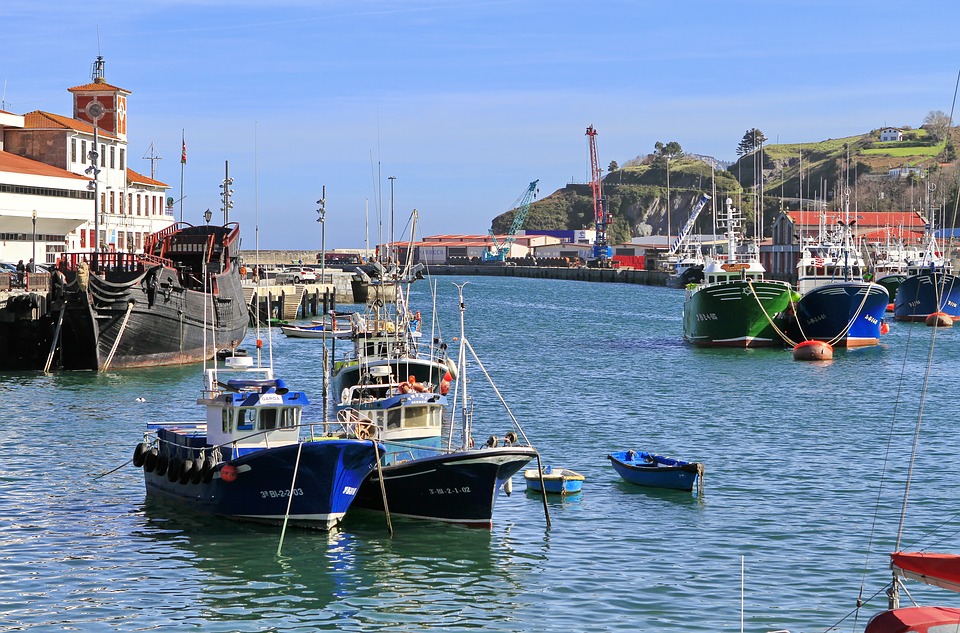 El sector atunero español presenta en la ONU su garantía de sostenibilidad