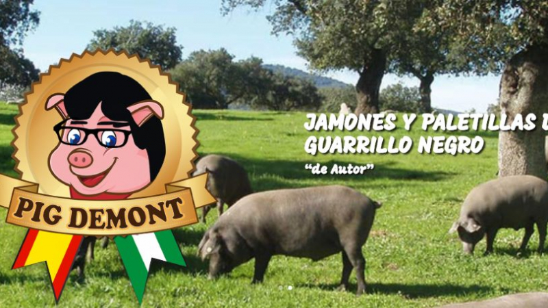 Logo de la empresa Pig Demont