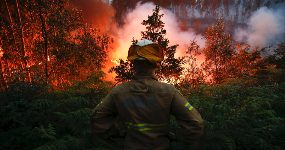 Imagen del incendio de Portugal que ha costado la vida a más de 60 personas.